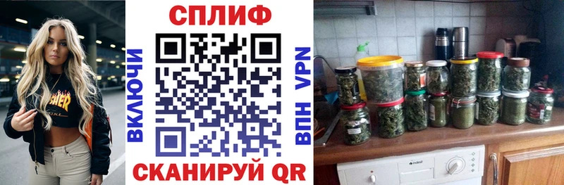 Конопля планчик  Купить где  Светлогорск 